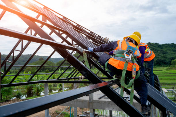 Best Roof Gutter Cleaning  in Drexel, OH